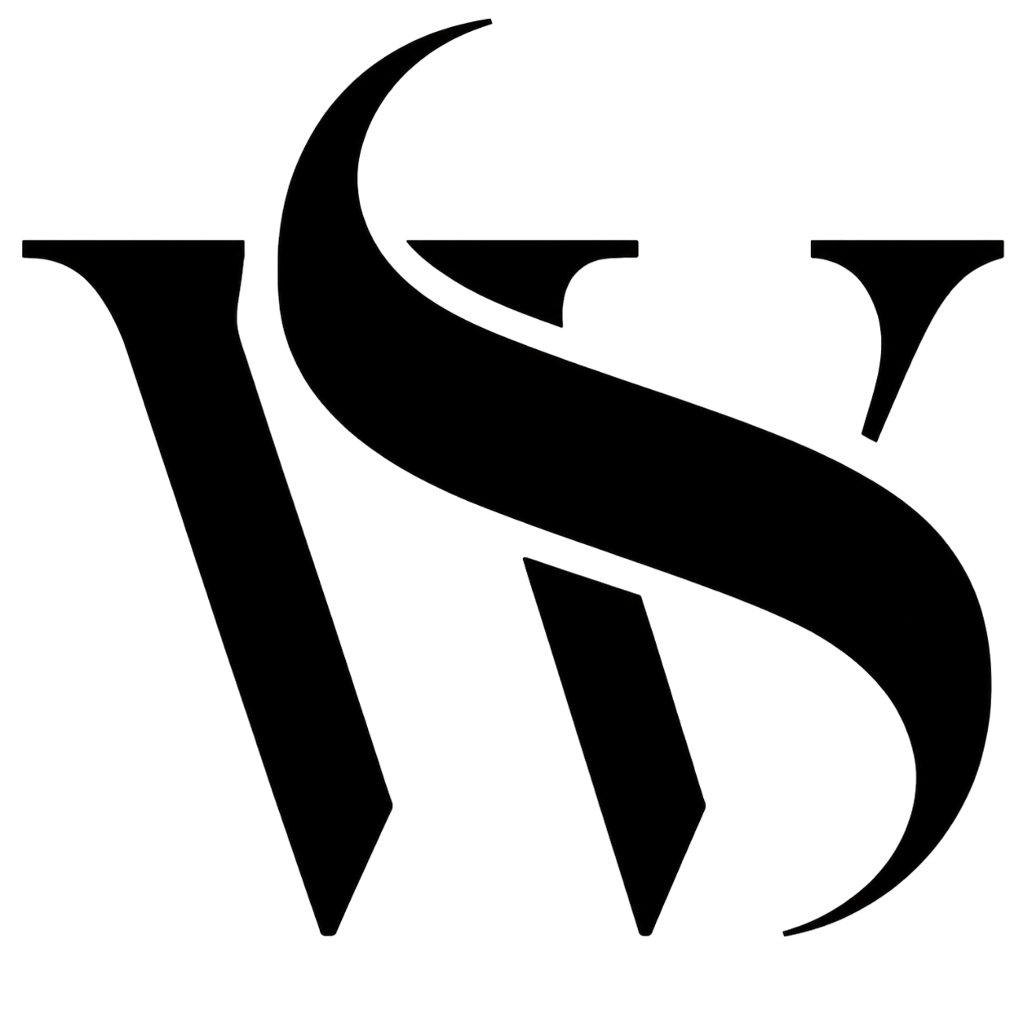ws logo transparent